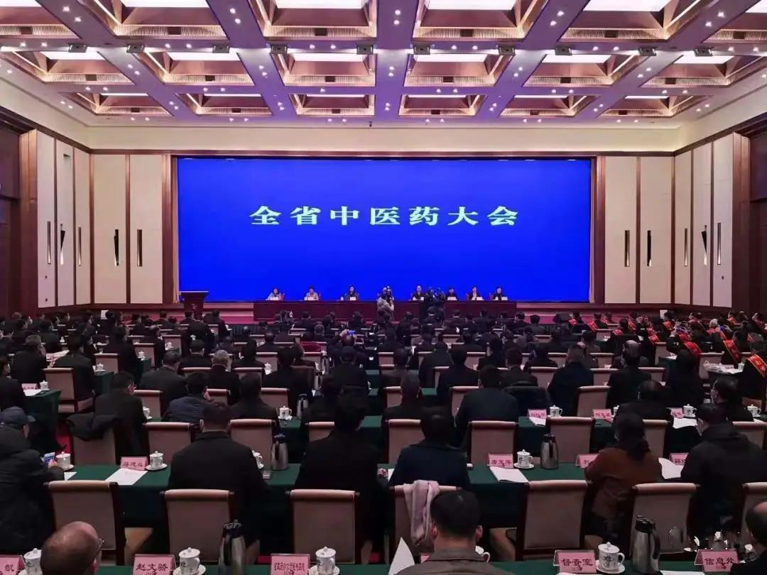 见证盛典，公司应邀参加 湖南省中医药大会